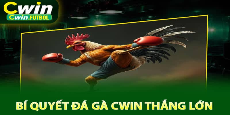 Bí quyết đá gà Cwin thắng lớn